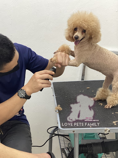 Love Pets Family