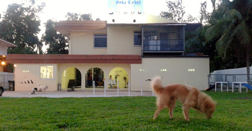 The Pets Hotel