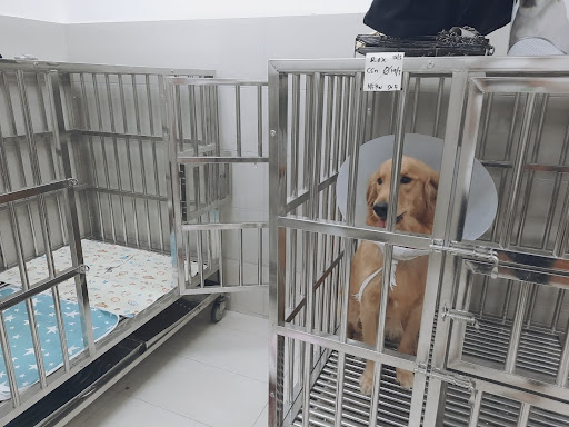 One Ampang Veterinary Clinic