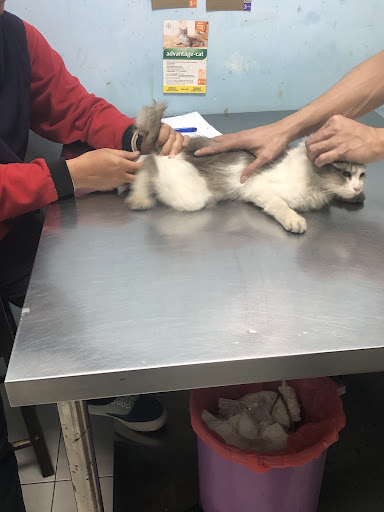 Catropolitan Veterinary Clinic