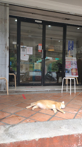 KLINIK HAIWAN iVET PETCARE Setiawangsa
