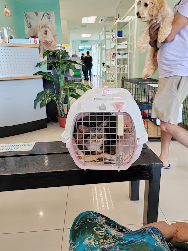 ResQ Veterinary Clinic