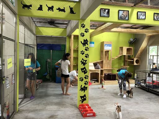SPCA Selangor