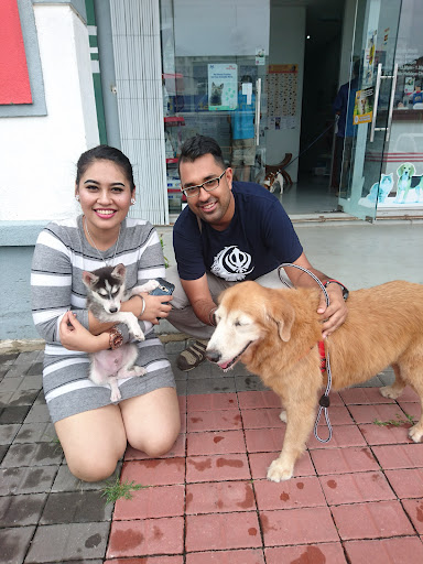 I Care Veterinary Clinic