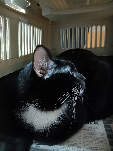 Klinik Veterinar Zafyrra