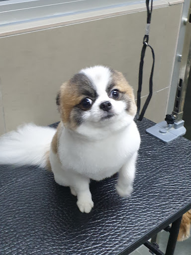 Water Front Pet Shop