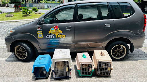 Cat and House Mall (Cat Hotel, Grooming & Cat Taxi)