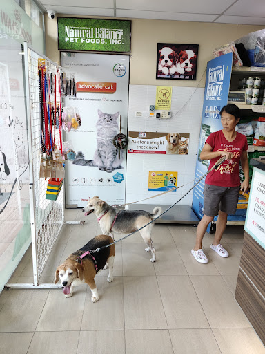 Yap Animal Clinic & Surgery