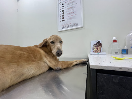 Alam Impian Veterinary Clinic