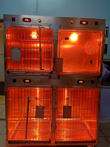 Bukit Tinggi Cat Clinic