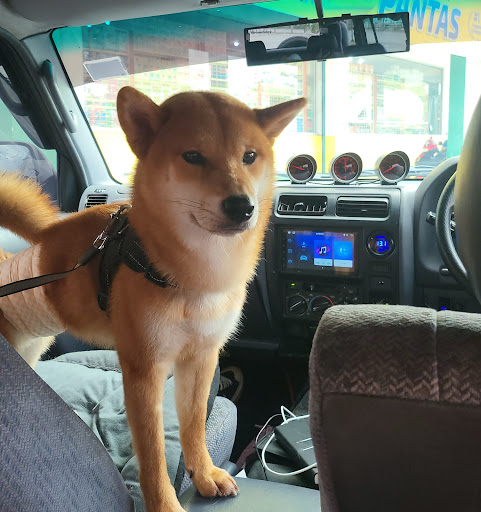 Zen Animal Clinic (Dog Cat and Exotic clinic)