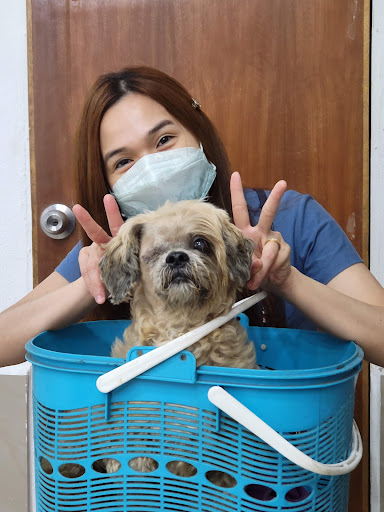 Gasing Veterinary Hospital