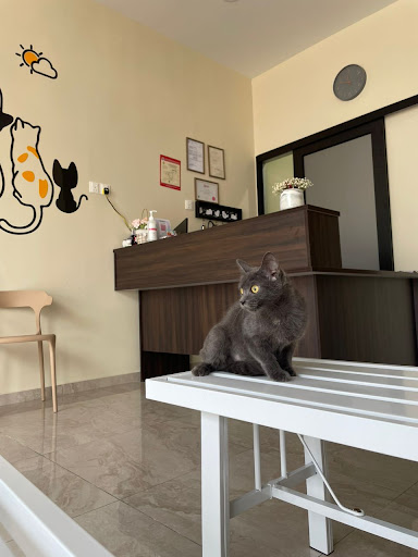 BERTAM VETERINARY CLINIC