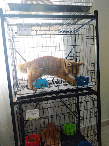 Nurmi Veterinary Clinic