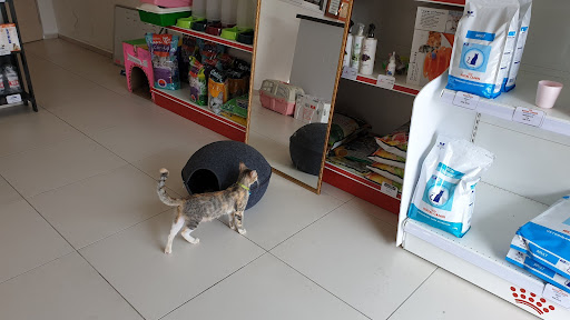 Klinik Veterinar dan Surgeri Masjid Tanah