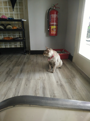 Klinik Veterinar Maya