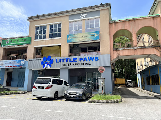 Little Paws Veterinary Clinic