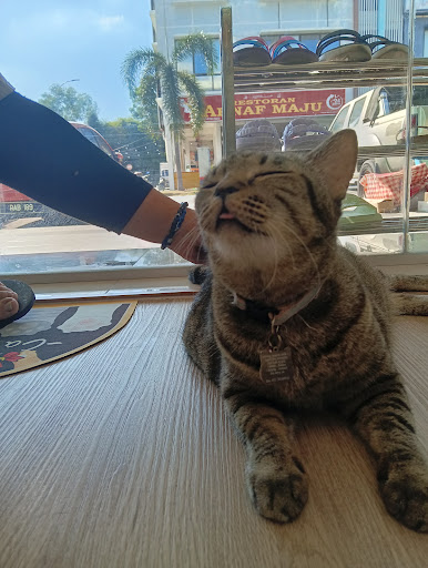 Klinik Veterinar Salam