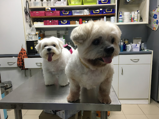 Klinik Veterinar Damai