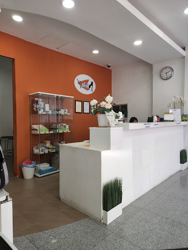 The Vet Alley Animal Clinic