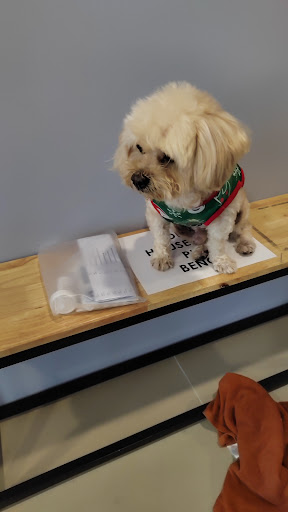 Taipan Veterinary Clinic & Surgery