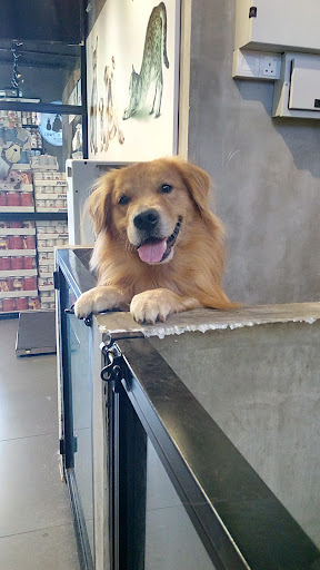 Hand N Paws Veterinary Clinic & Pet Center