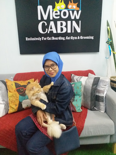 Meow Cabin Cat Hotel