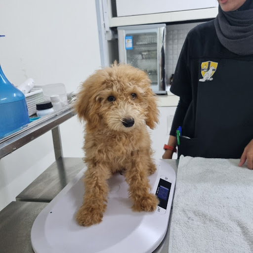 Small Animal and Exotics Hospital (Sane Hosp)