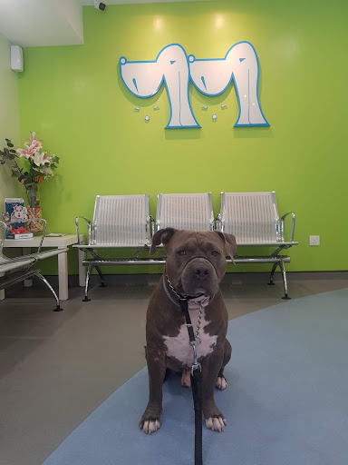 Yeoh Veterinary Clinic & Surgery Sdn Bhd