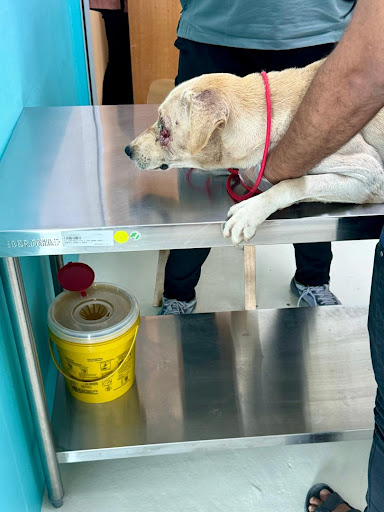 Vet On Care Animal Clinic and Surgery