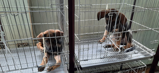 Thomas Animal Clinic & Pets Corner