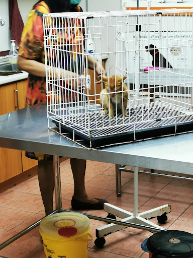 Holy Family Veterinary Clinic