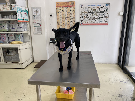 Klinik Haiwan Gembira (Happy Pets Clinic)