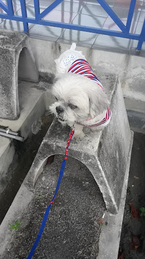 Pejabat Perkhidmatan Veterinar Daerah Klang (Klinik Veterinar)