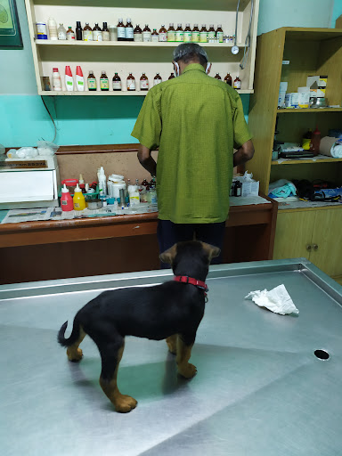 Wilayah Animal Clinic