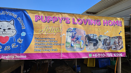 Puppy's Loving Home PLH Persatuan Haiwan Gembira setia Selangor -NGO