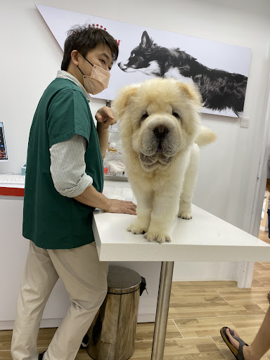 HEALING PET STORE