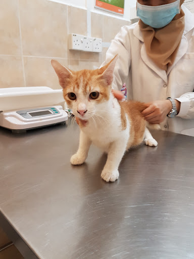 Damai Veterinary Clinic