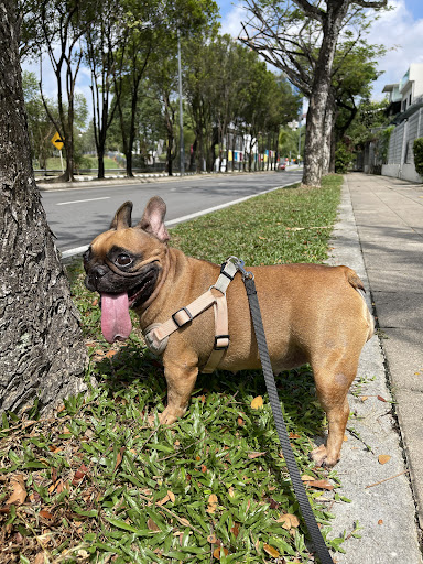 Kim Veterinary Clinic & Surgery