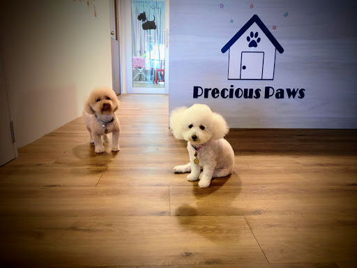 Precious Paws Pet House