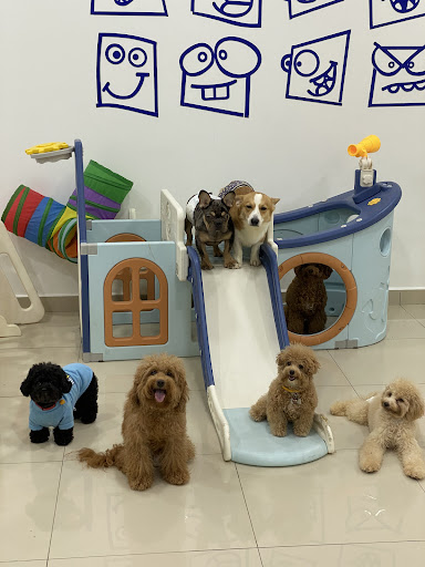 HeyBuddy Pet Grooming
