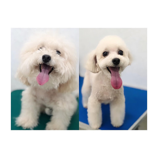 Yi Paw Pet House