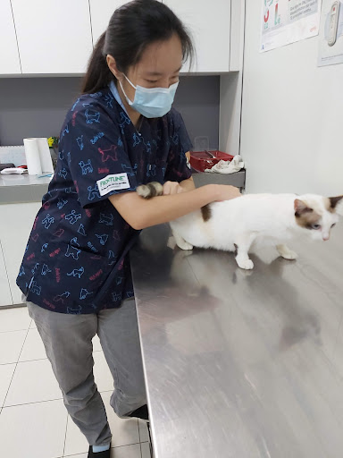 Chong Veterinary Clinic