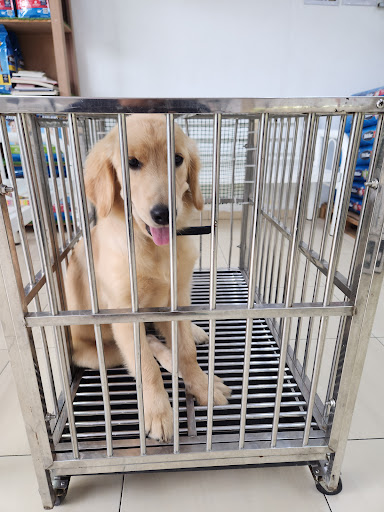 Kim Veterinary Clinic & Surgery