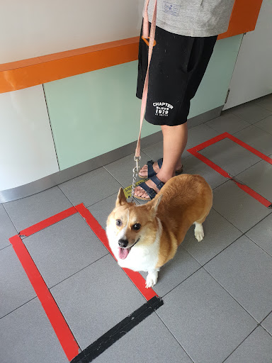 Heshmael Clinic For Pets Sdn. Bhd.