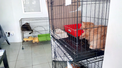 Mels Vetcare Pet Services