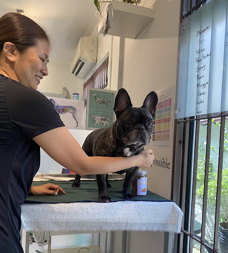 Asia Paws (M) Sdn Bhd