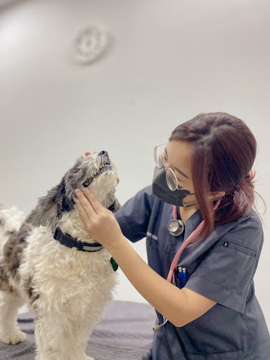 Furkids Wellness Centre