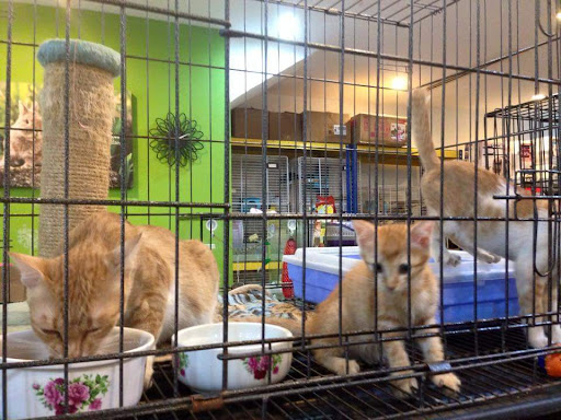 J Jay Pet Station
