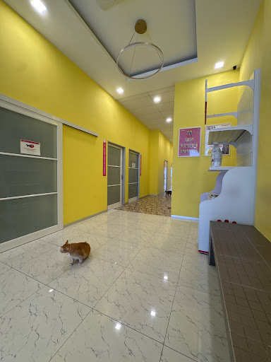 Klinik Haiwan Dr Hawa